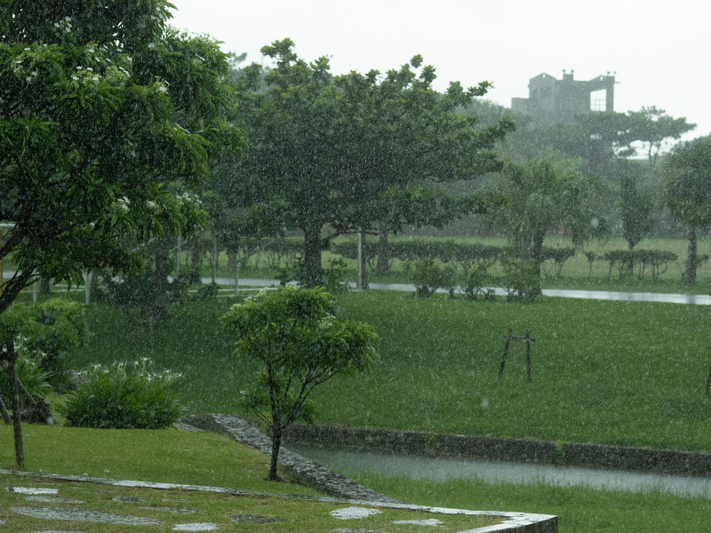 急に降る滝のような雨