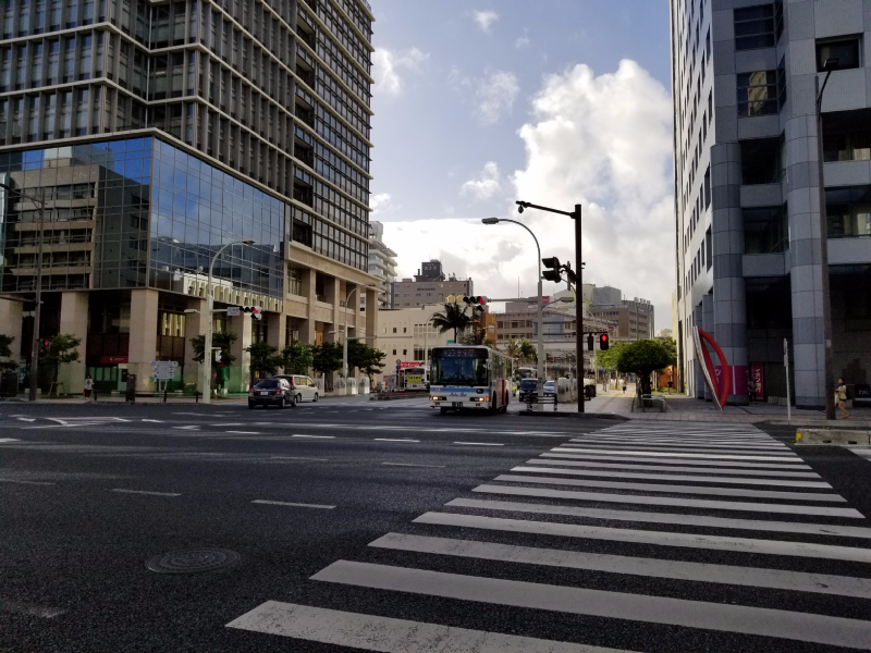 嵐の前の静けさか、いい天気！